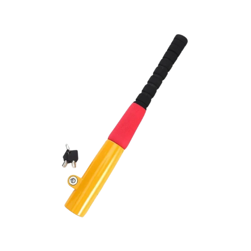 Colorful bat with a key on a white background