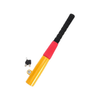 Colorful bat with a key on a white background